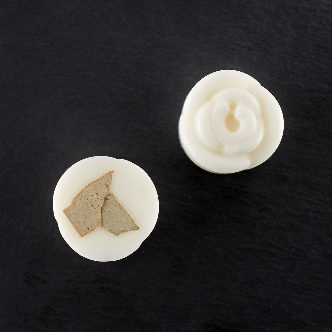 teelin-luxury-fragrances-bush-walks-wax-melts