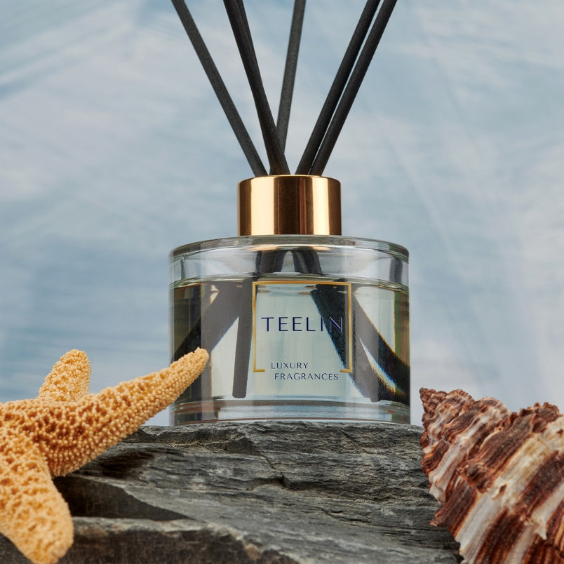 Reed diffuser on a rock with starfish and seashell