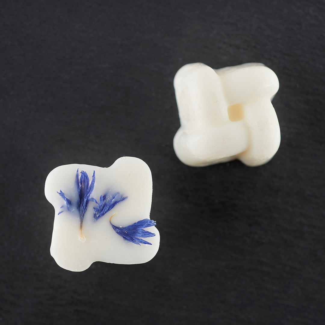 teelin-luxury-fragrances-the-coast-wax-melts