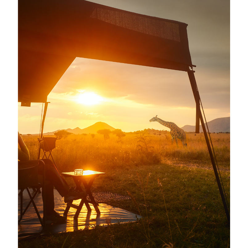 Beautiful photo of a person sitting in a chair looking out on the African savannah at sunset. A giraffe is visible in the distance.