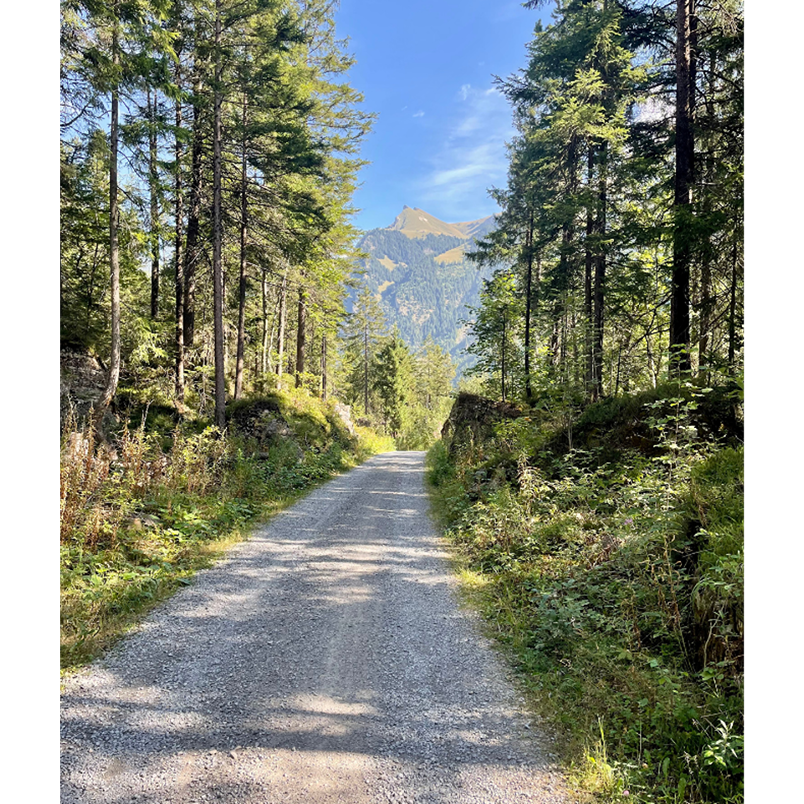 Photo of a winding track in the beautiful Swiss Alps invoking the feeling of wanderlust.